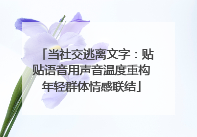 当社交逃离文字：贴贴语音用声音温度重构年轻群体情感联结